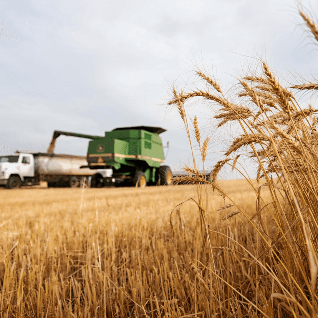 Stewards of the Land