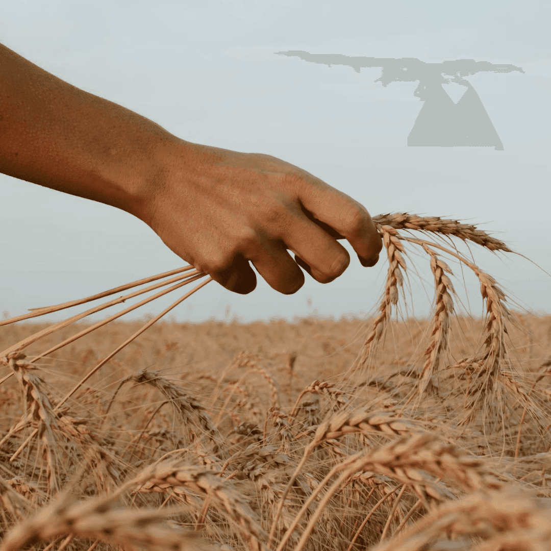 Pure as Nature Intended